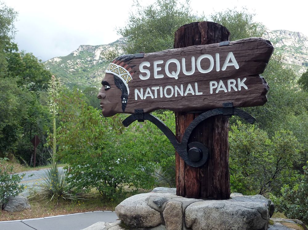 Sequoia parc(1).JPG